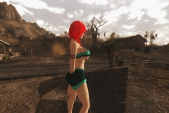 FalloutNV-2014-07-26-00-24-43-698