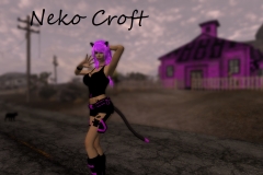 Neko-Croft1