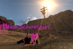 Neko-Schoolgirl4