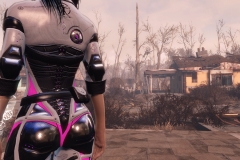 Fallout4 2017-01-18 14-53-23-717