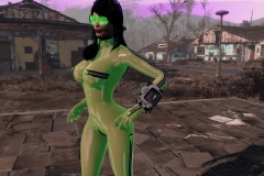 Fallout4 2017-01-30 00-58-35-833