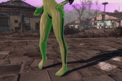 Fallout4 2017-01-30 00-58-41-085