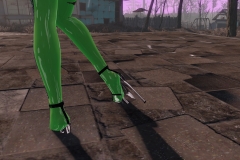 Fallout4 2017-01-30 00-59-07-852