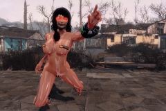 Fallout4 2017-01-30 00-59-59-301