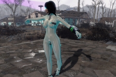 Fallout4 2017-01-30 01-04-40-915