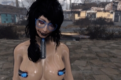 Fallout4 2017-01-30 01-07-11-405