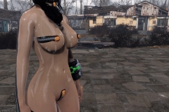Fallout4 2017-01-30 01-08-49-191