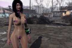 Fallout4 2017-01-30 01-09-02-069