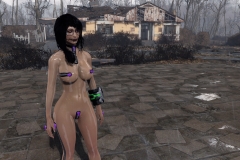 Fallout4 2017-01-30 01-09-25-990