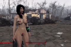 Fallout4 2017-01-30 01-09-36-822