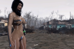 Fallout4 2017-01-30 01-10-34-901