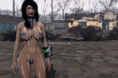 Fallout4 2017-01-30 01-10-38-051