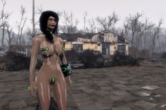 Fallout4 2017-01-30 01-10-48-901