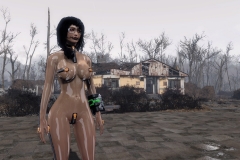 Fallout4 2017-01-30 01-11-02-427