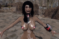 Fallout4 2017-01-30 17-30-42-094