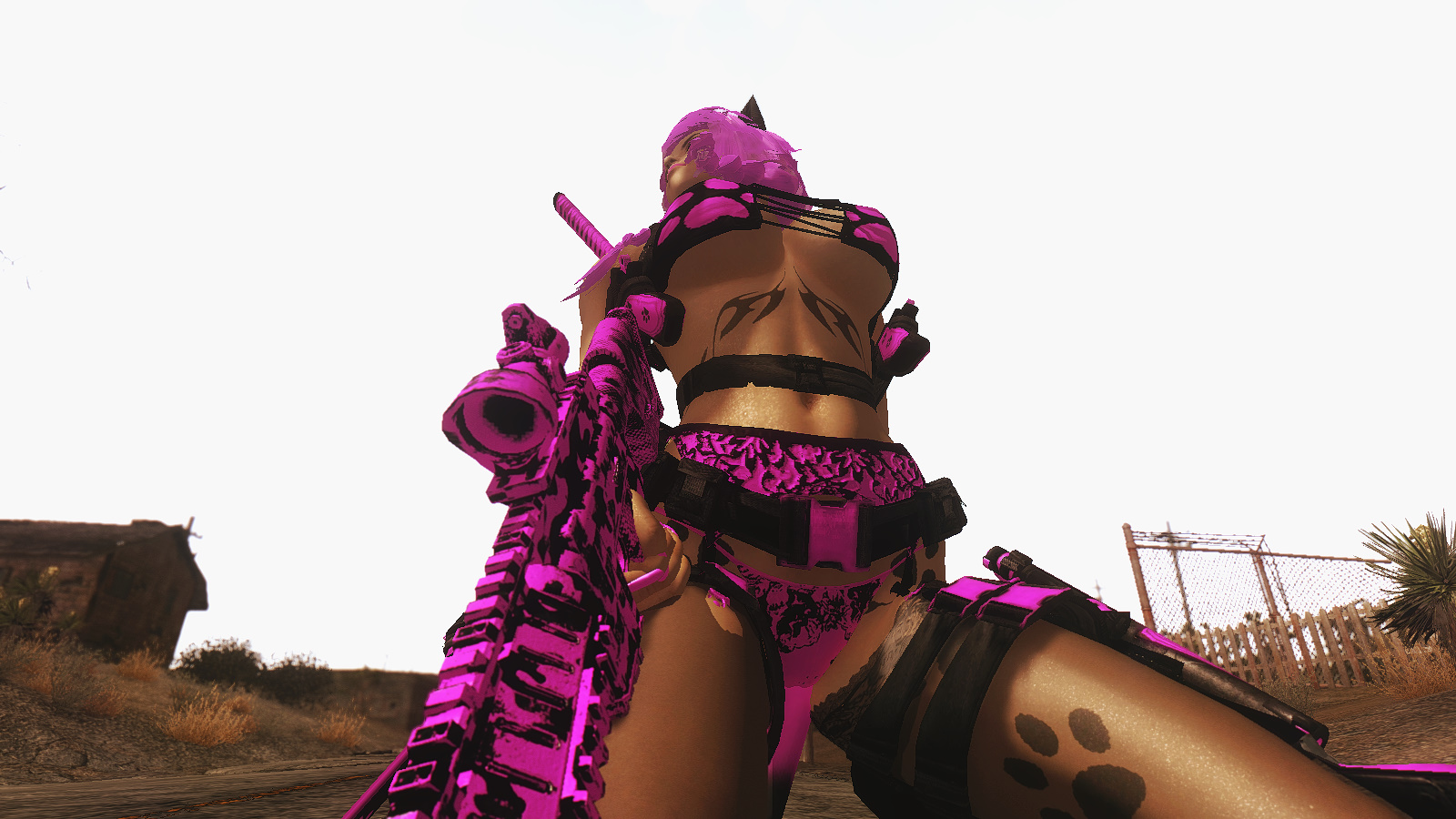 New Vegas Mods