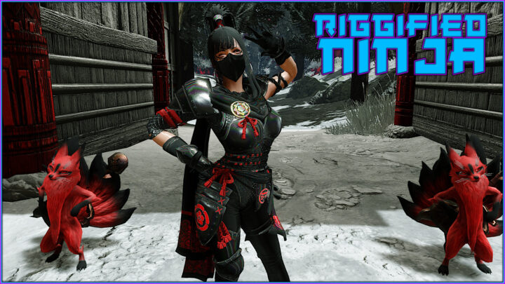 Riggified Ninja